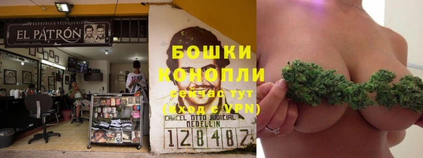 Альфа ПВП Белокуриха